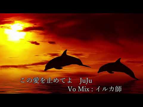 この夜を止めてよ　JUJU　歌ってみた ver.イルカ師