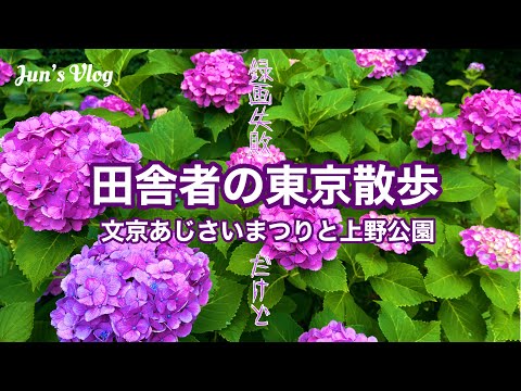 【東京Vlog】田舎者の東京散歩〜文京あじさいまつりと上野公園