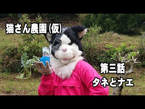 猫さん農園　第三話