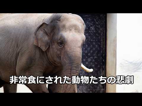 歴史の雑学～パリ包囲戦と動物園の悲劇～