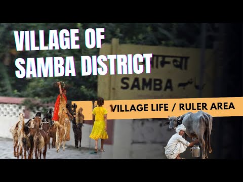 A Village of samba district | Morning time Exploring village life | @jkchanneltv @jkmediaofficial