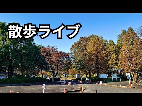 快晴☀️川越公園から散歩ライブ配信中！