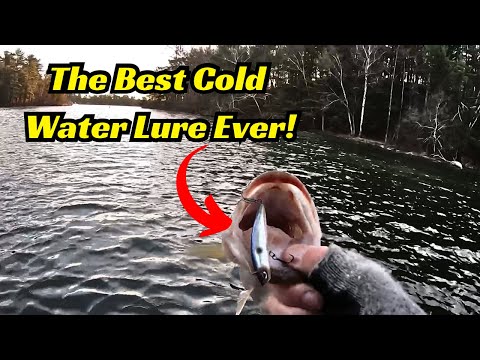 This Is The Best Cold Water Bait I’ve Used! You Need It!