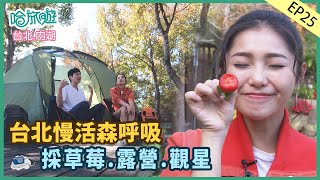 【哈旅遊】台北｜週末就來內湖森呼吸-露營觀星私房景點-功夫牛肉麵-全新法式餐廳開箱