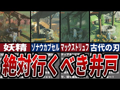 【ティアキン】9割が見逃す絶対行くべき井戸14選【ゼルダ】