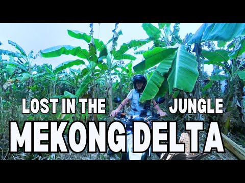 Discover the Stunning Beauty of the Mekong Delta – A Daily Adventure!🌿🚤 (S1E12)