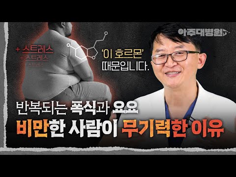 🤢 다이어트만 하면 ‘우울하고 무기력’해져요. 여기에는 🧬과학적인 비밀🧬이 있다던데?? 비만한 사람이 무기력한 이유 | 비만클리닉 김범택 교수 [아주대병원TV]