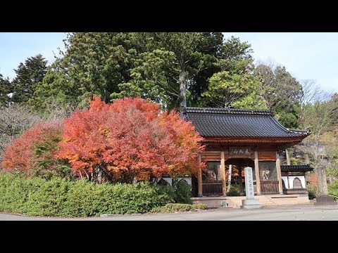 20211118  紅葉　氷見光西寺