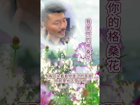 💓[ 我是你的格桑花 ]💓  演唱 : 大欢