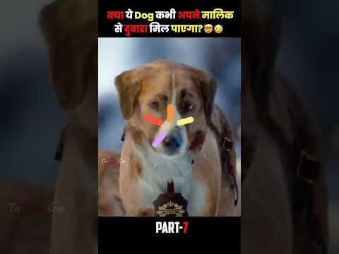 #dog #story #amazingfacts #movie #doglover #facts #salarfact #comedy #kgfvssalaar #comedyfilm