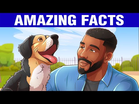 12 Amazing Facts That Will Make You Smile