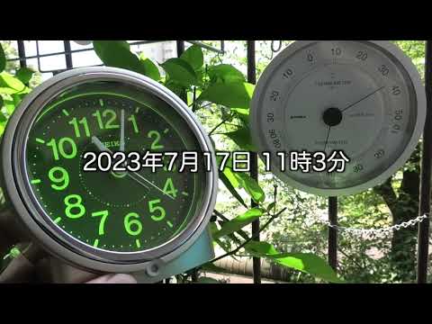 あ・・暑い!!【東京都八王子市】