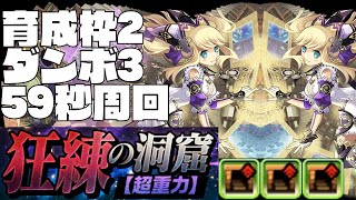 【狂練の洞窟】1周59秒！LFサレーネで2枚抜きダンボ3高速周回編成！【パズドラ】