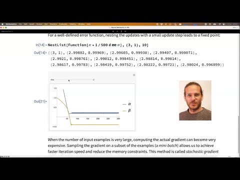 The Wolfram Neural Net Framework: Predictions and Training with Errors