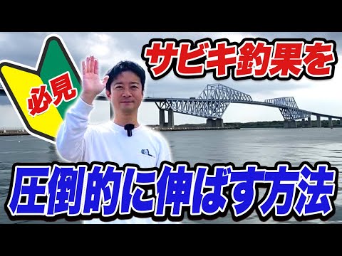 【若洲海浜公園】サビキ釣果の明暗が分かれる理由を釣り場で解説