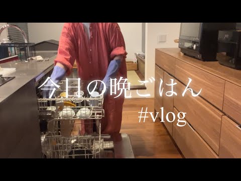 レミパン2年使った感想/レミパンで作る晩ごはん