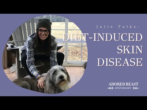 Diet-induced Skin Disease in Dogs