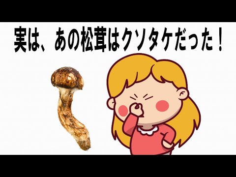 【絶対誰にも言えないお一人様雑学】133　#キノコの雑学