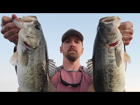 SANTEE COOPER BASS FISHING Live Stream | BED FISHING| Potato Creek #bassmasters #मछलीपकड़ने #pesca