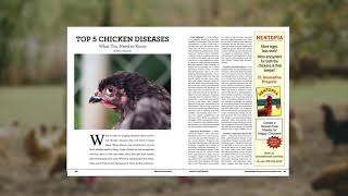 Sneak Peak of the Backyard Poultry 2020 Special Subscriber Issue - Comb to Tail Health