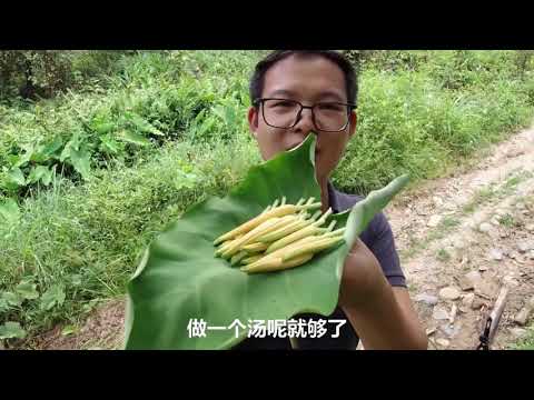 黄花菜都凉了说的就是它，漂亮又营养，做汤简直不要太好喝