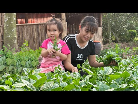 Single Mother - The first bunches of vegetables in the garden are harvested and sold