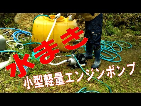 【水まき】エンジンポンプで水を撒く（工進 2サイクルエンジンポンプ SEV 25L）