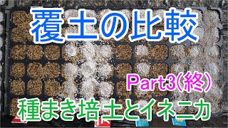 覆土で違いは出るのか？種まき培土とイネニカで実験&ポット上げ　Part3（終）21/4/1