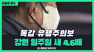 독감 유행주의보... 강원 일주일 새 4.6배 ↑