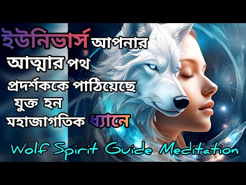 ইউনিভার্স আপনার আত্মার পথ প্রদর্শক কে পাঠিয়েছে সমস্ত ইচ্ছাপূরণের জন্য।Wolf Spirit Guide Meditation