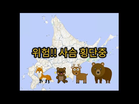 위험!! 사슴 횡단중（危険　エゾシカ出没中!!）