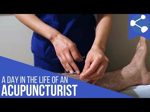 A Day in the Life of an Acupuncturist with Eileen Seto