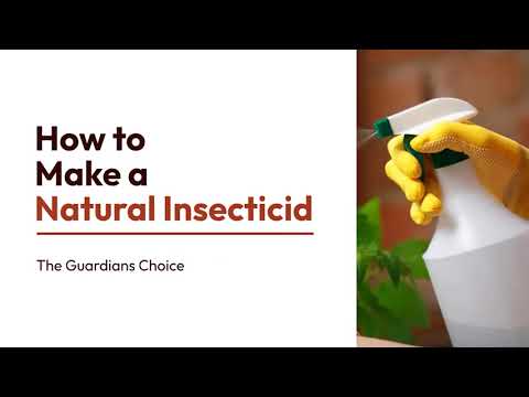 Step by Step Guide to Make a Organic insecticide at Home | The Guardian's Choice