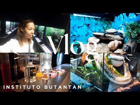 INSTITUTO BUTANTAN PARQUE DA CIÊNCIA, VLOG