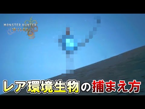 隔ての砂原のレア環境生物『？？？』の捕まえ方【モンハンワイルズ体験版】