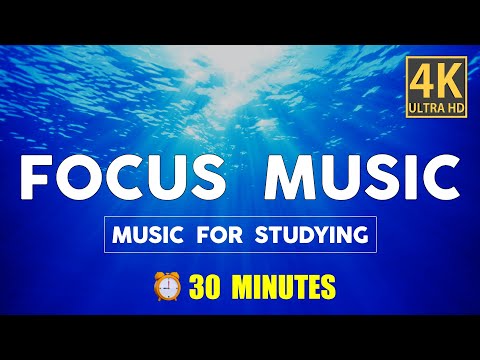 Ambient Study Music To Concentrate - 30 Minutes of Music for Studying, Concentration and Memory