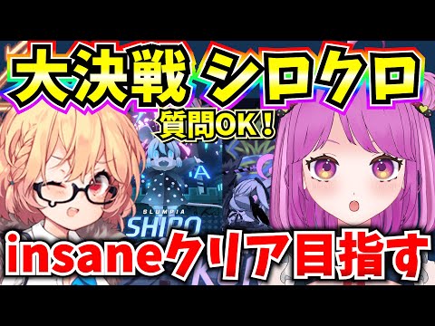 【ブルアカ】大決戦市街地シロクロ 全属性insaneクリア目指す！🔥【BlueArchive】【ブルーアーカイブ】