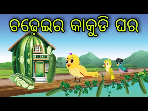 ଚଢ଼େଇର କାକୁଡି ଘର | Chadheira Kakudi Ghara | Tiki Chadhei Gapa | Odia Chadhei Gapa | New Story