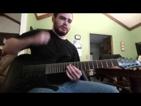 The Devil Wears Prada - Danger: Wildman 8 string guitar cover