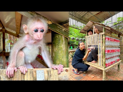 Make a cage to keep baby monkey?