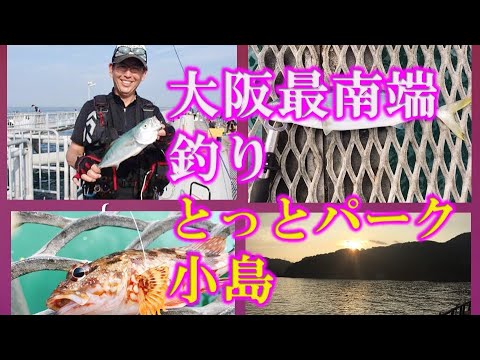 大阪湾の最南端釣り　とっとパーク小島での実釣編　最強海釣り園！