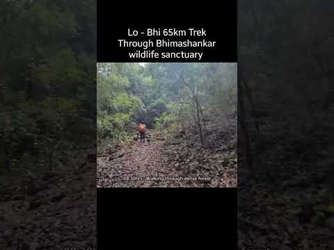 Lonavala to Bhimashankar 60kms trek #LoBhi #lonava #bhimashankar #NaBhi #karjat #trekking #asmr