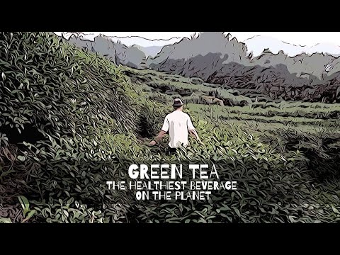 Green Tea - The Healthiest Beverage on the Planet