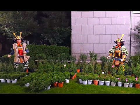 【夜の岐阜公園　第53回・菊人形・菊花展】　岐阜公園　2024年10月26日（土）　　Gifu-Japan