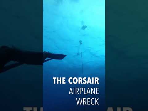 【ハワイ沈船ダイビング】The Corsair Airplane Wreck Diving in Hawaii #Shorts