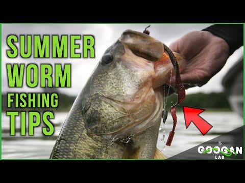 HOW TO CATCH SUMMER Time BASS ON WORMS! ( Bass Fishing Tips )