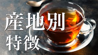 【紅茶の基本】ダージリン、ウバ、キームンの特徴