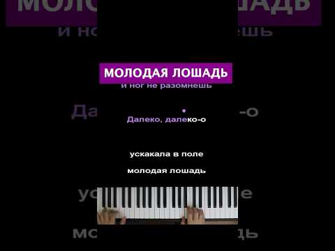 🐴 Молодая лошадь  #пианино #караоке #многонотка #pianokaraoke #хор #детскийхор #молодаялошадь