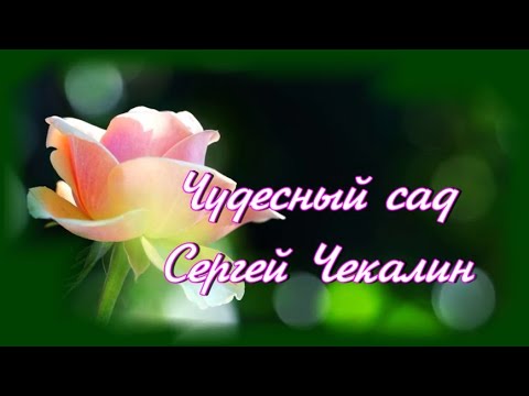 ЧУДЕСНЫЙ САД! СЕРГЕЙ ЧЕКАЛИН!🎶🌺🎶Чарующая музыка,красивое видео для души!🌹🎶🌹