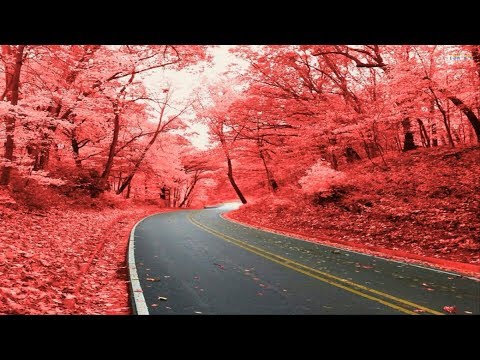 Top 70 Beautiful Colorful Way